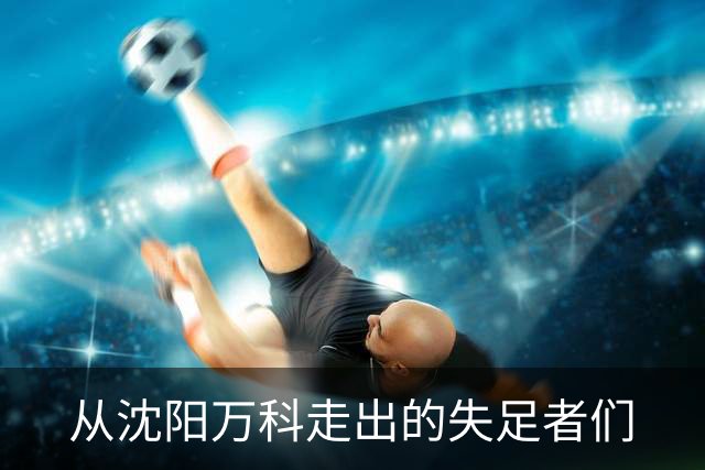 从沈阳万科走出的失足者们